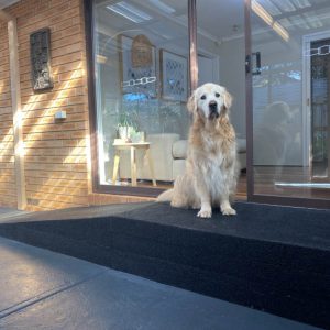 dog-ramp-1