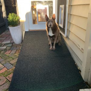 kora-ramp